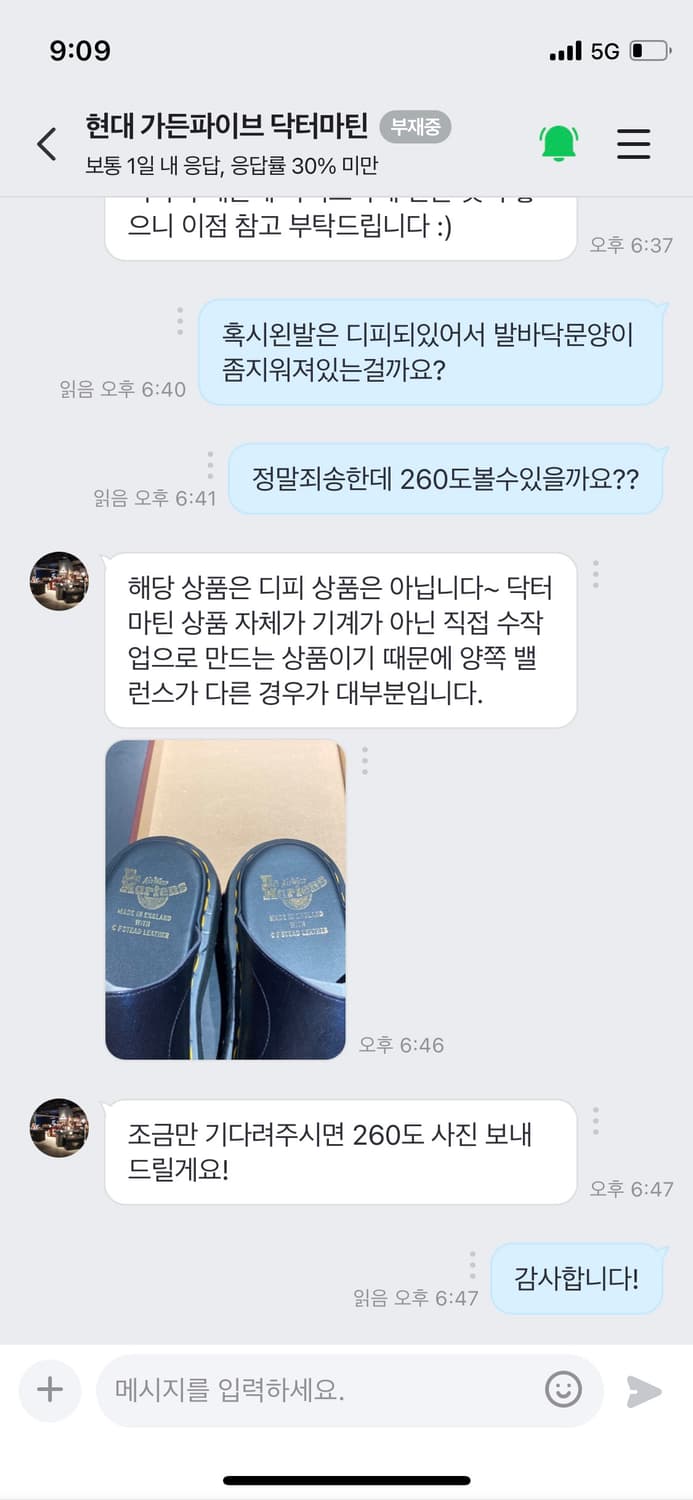 닥터마틴 mie 데인 상품이미지10