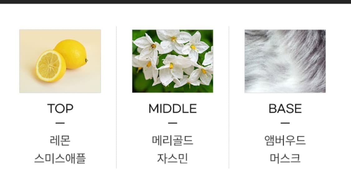 돌체앤가바나 라이트블루 오 인텐스 오드퍼퓸 25ml 상품이미지3