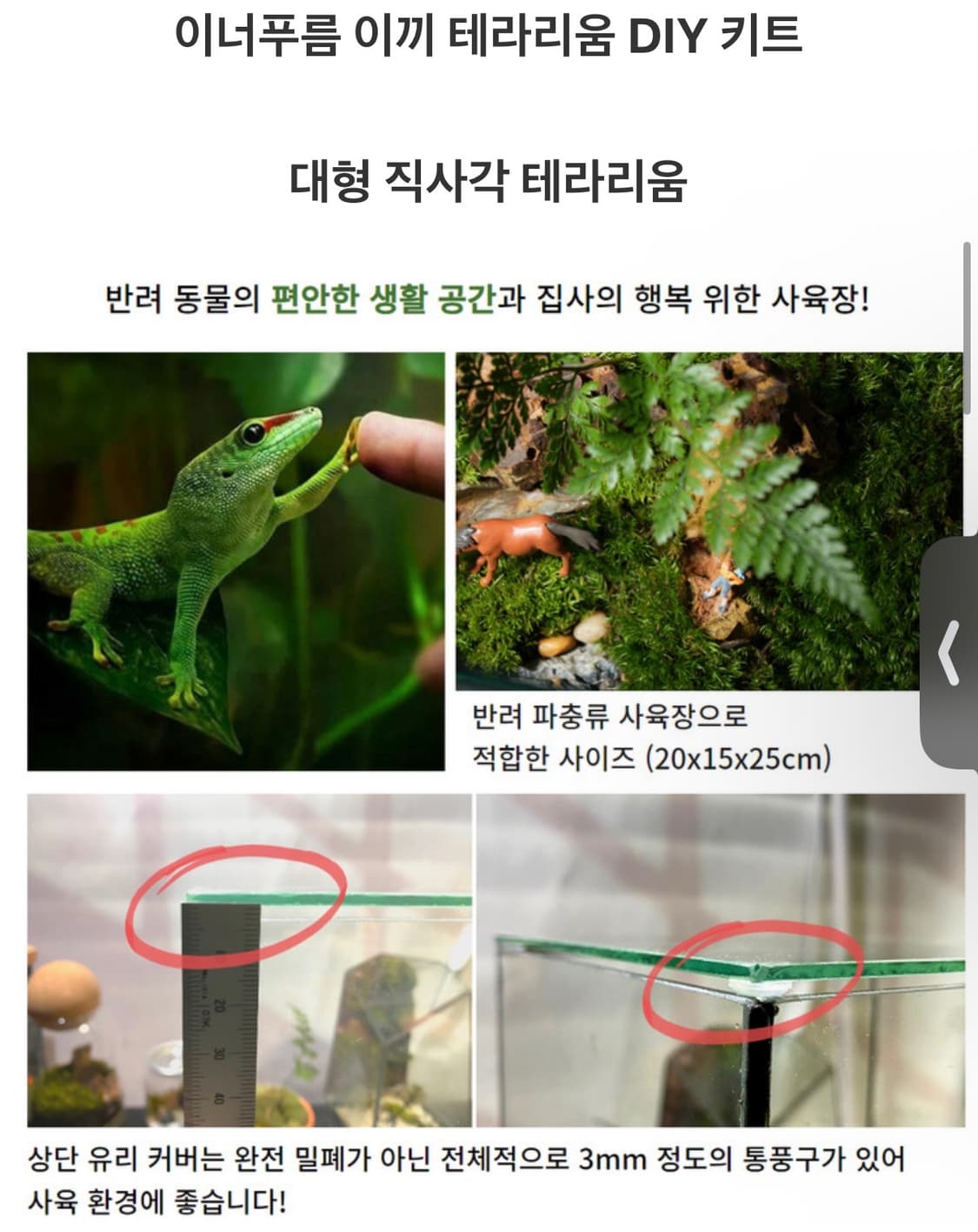 이너푸름 테라리움 비바리움 대형어항 및 조명 상품이미지2