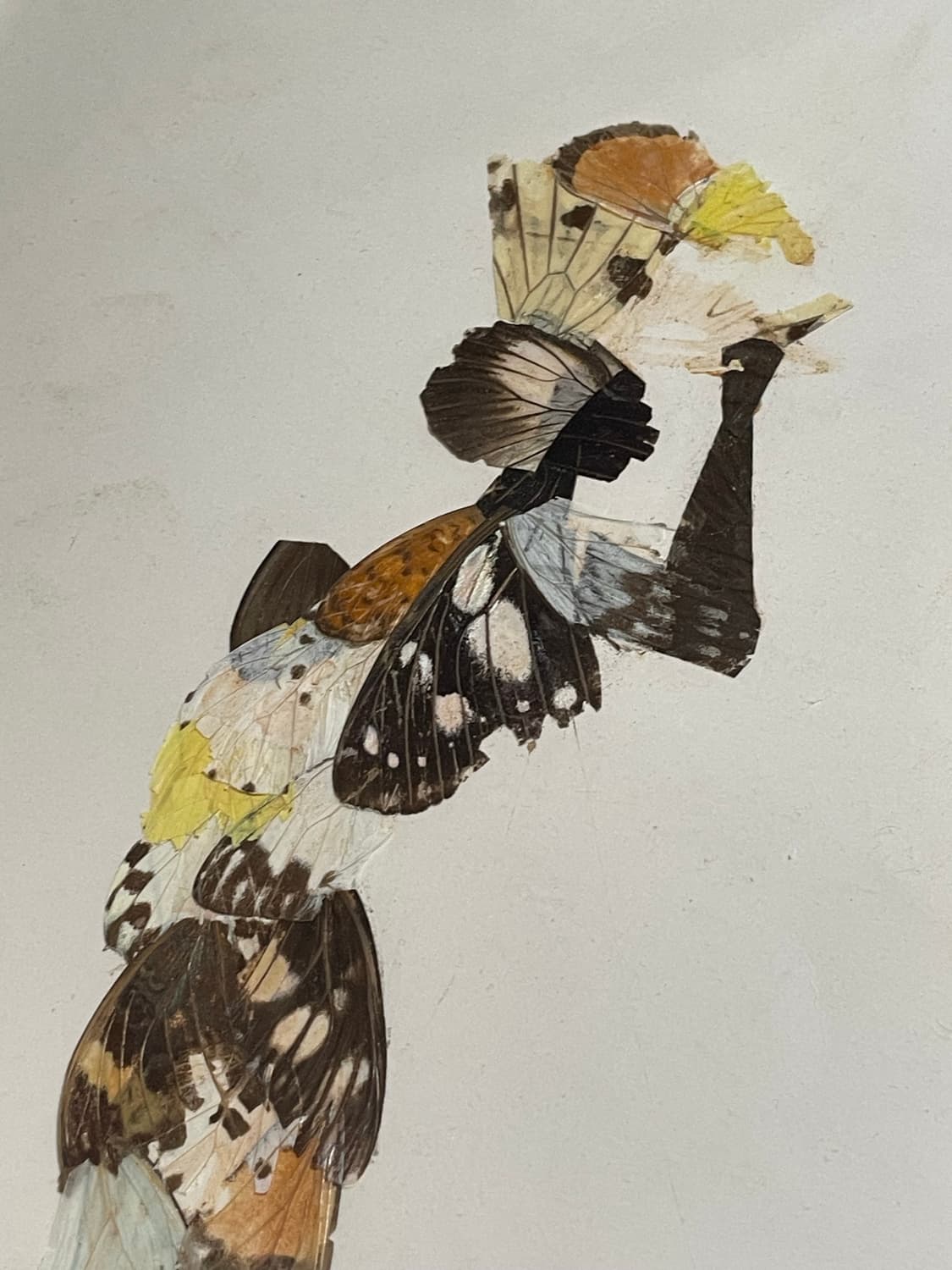 Butterfly Wing Lady Frame Art 상품이미지4