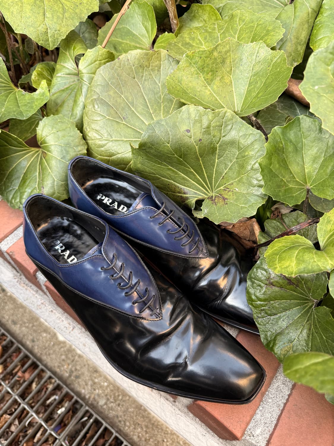 Two-tone Oxford Shoes 상품이미지6