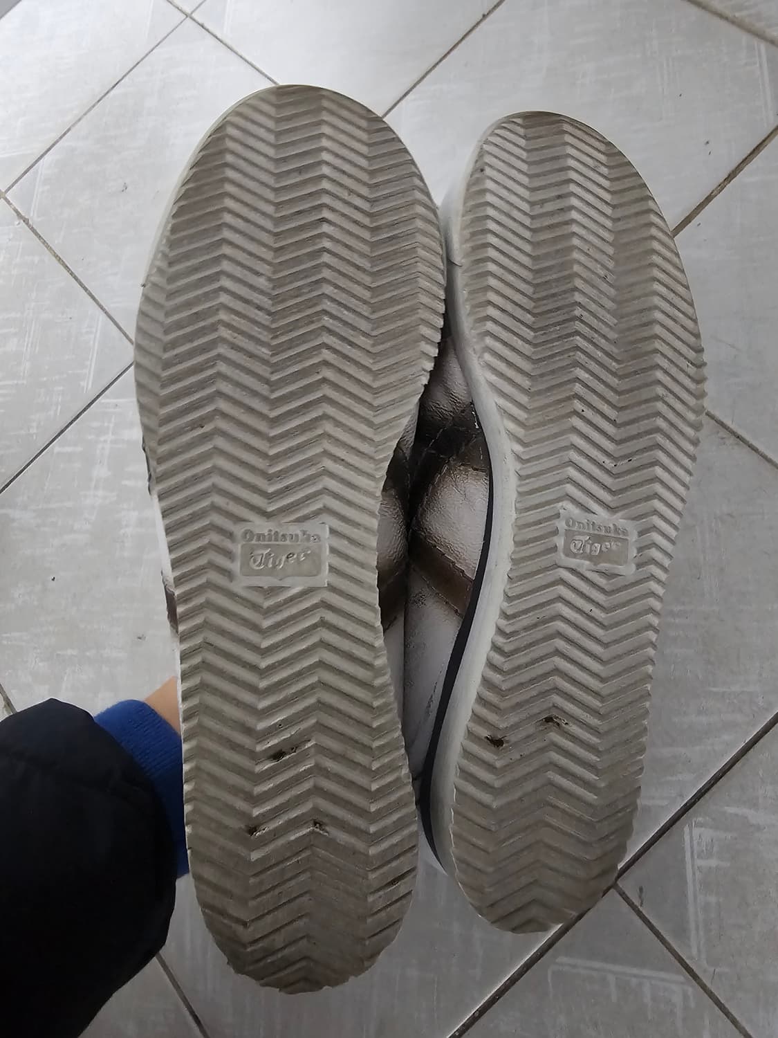 오니츠카타이거 멕시코66 kijun 콜라보 상품이미지3