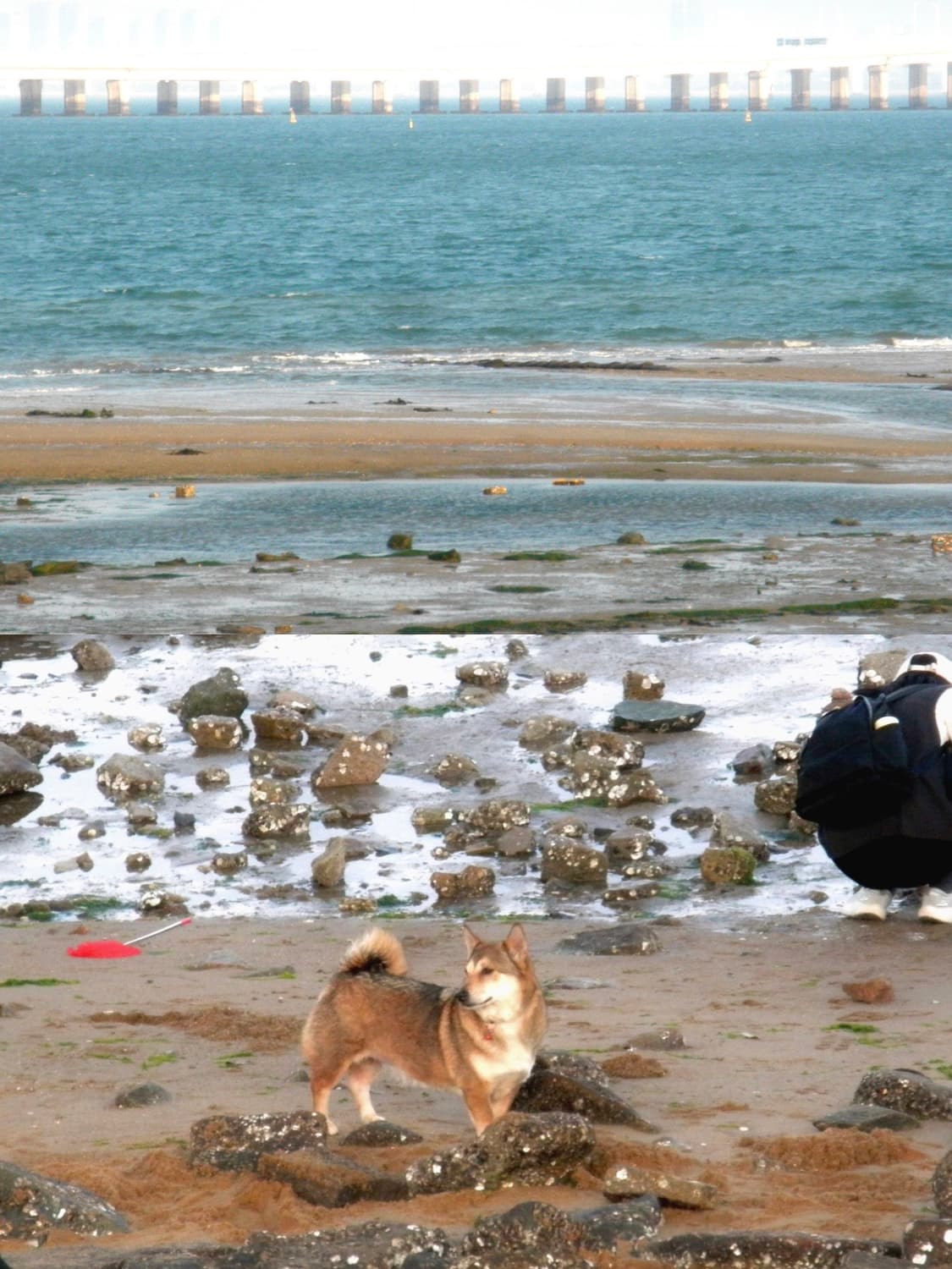 올림푸스 뮤 7040 | Olympus mju 7040 핑크 상품이미지2
