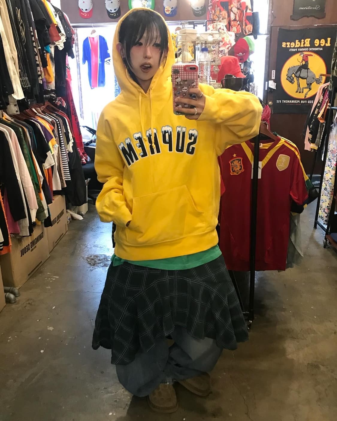 Supreme Icy Arc Hooded Sweatshirts  상품이미지3
