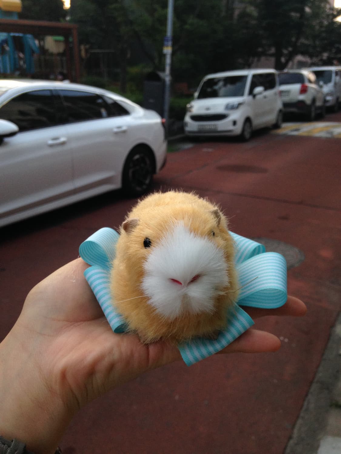 기니피그 모형 🌷 상품이미지5