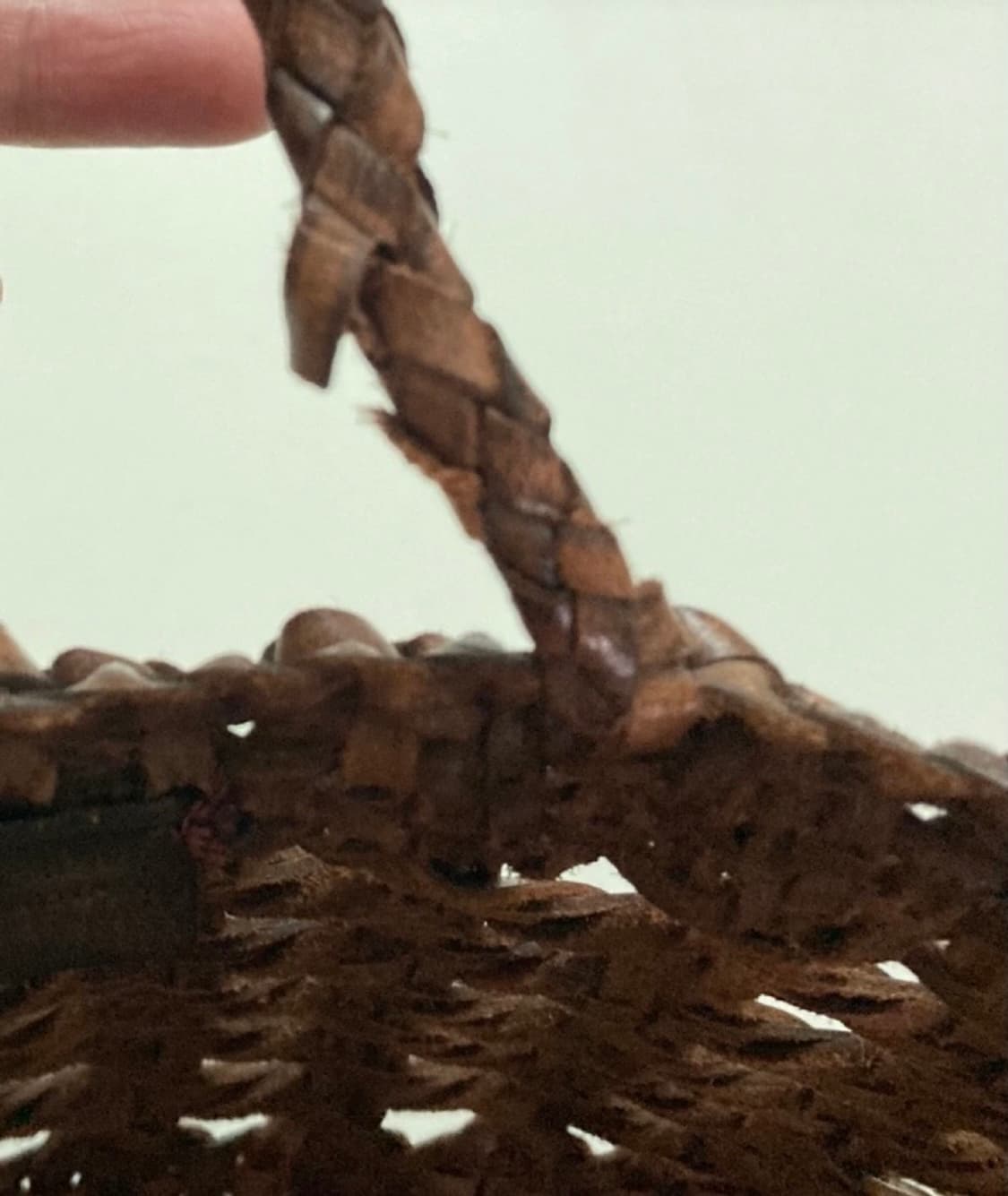 드래곤백 상품이미지6