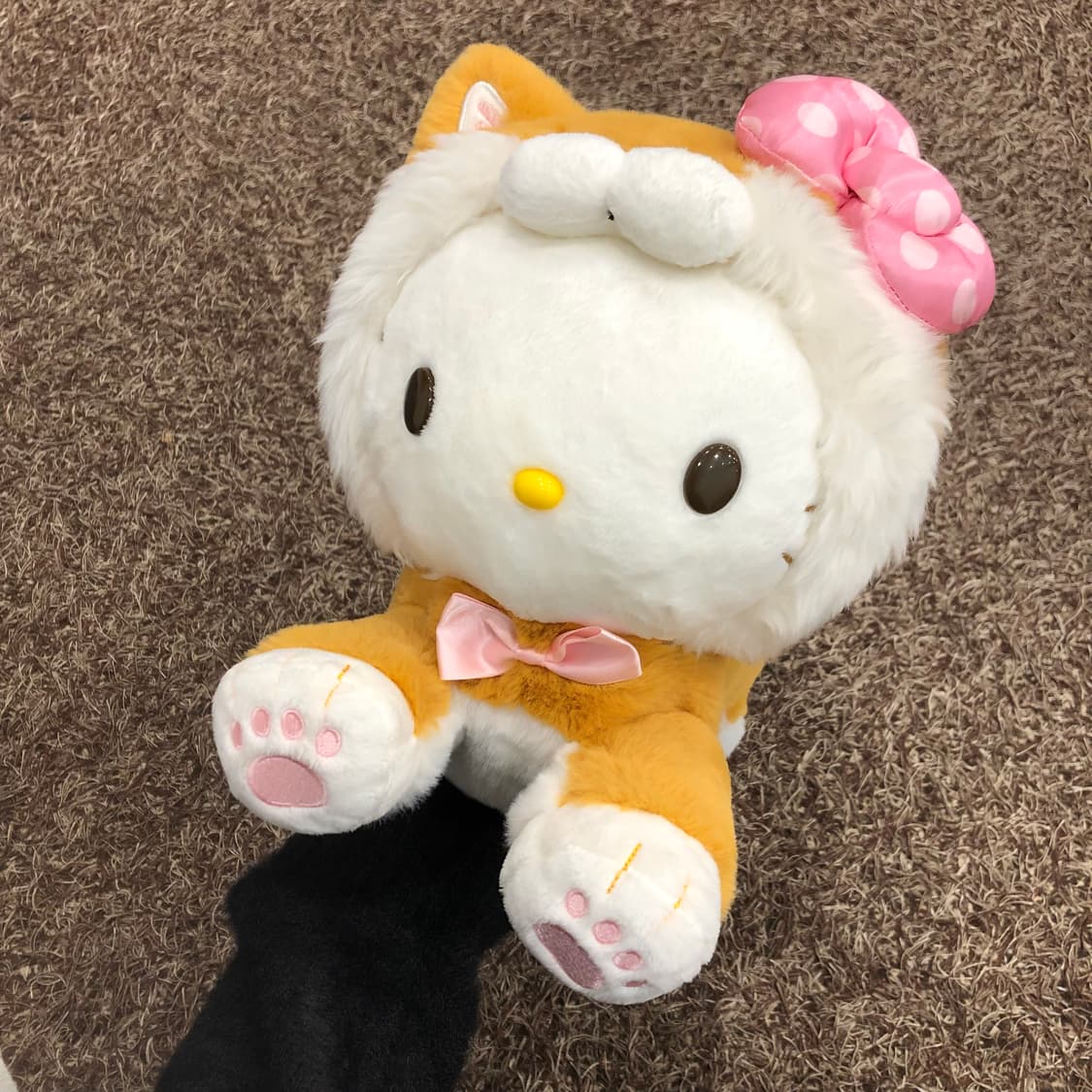 새상품 산리오 키티 시바이누 정품 인형 상품이미지1