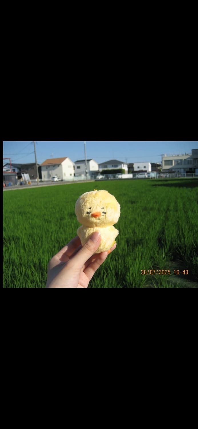 캐논 익서스 60 CANON IXUS 60 빈티지 디지털카메라 디카 상품이미지5