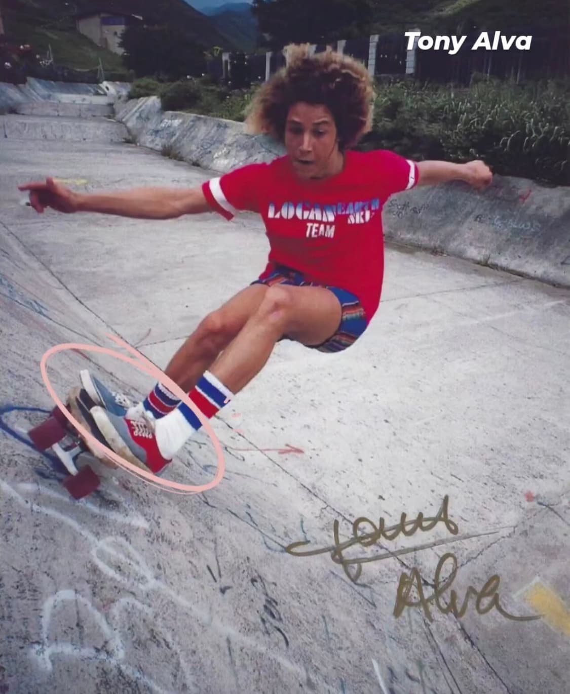 [11] 80s 반스 독타운 에라 상품이미지6