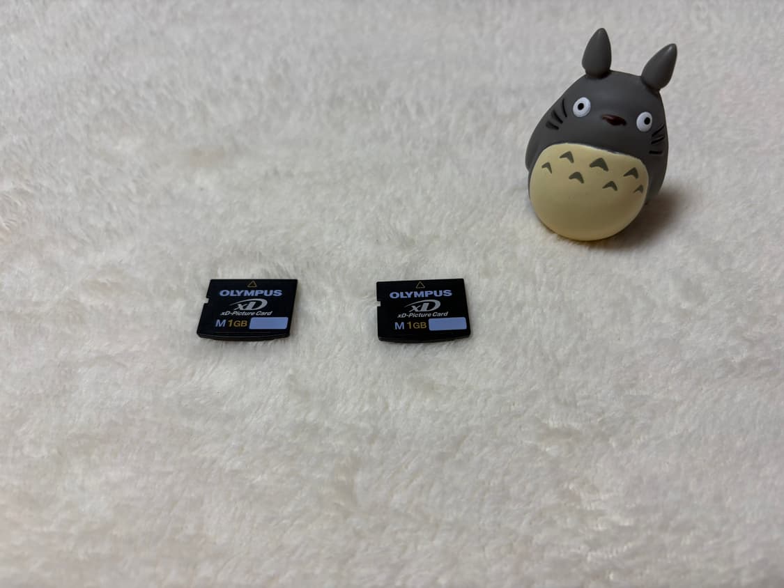 Xd 메모리 1gb 상품이미지1
