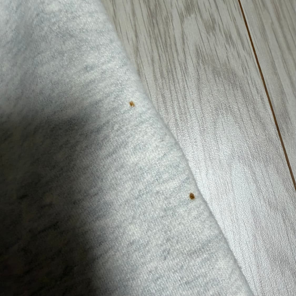 아베크롬비 베이지 후드집업 s 상품이미지4