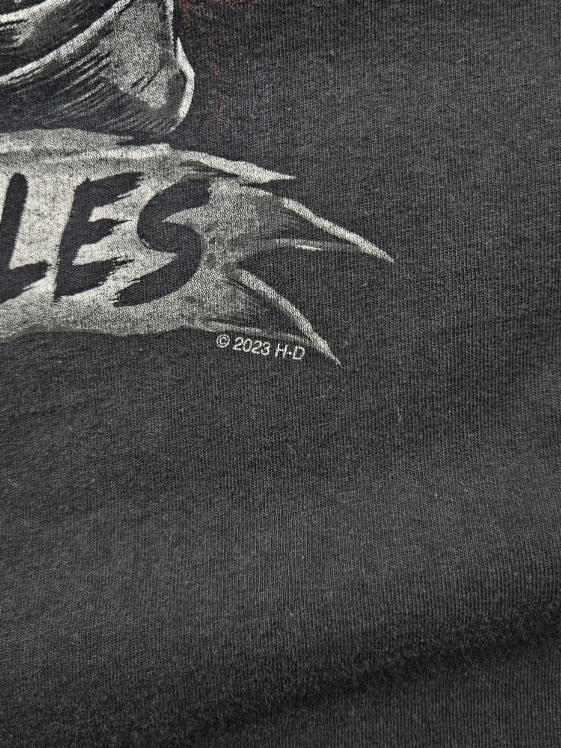 할리데이비슨 위스콘신 오코노왁 반팔 티셔츠 ( L 추정 ) / 11650 상품이미지6