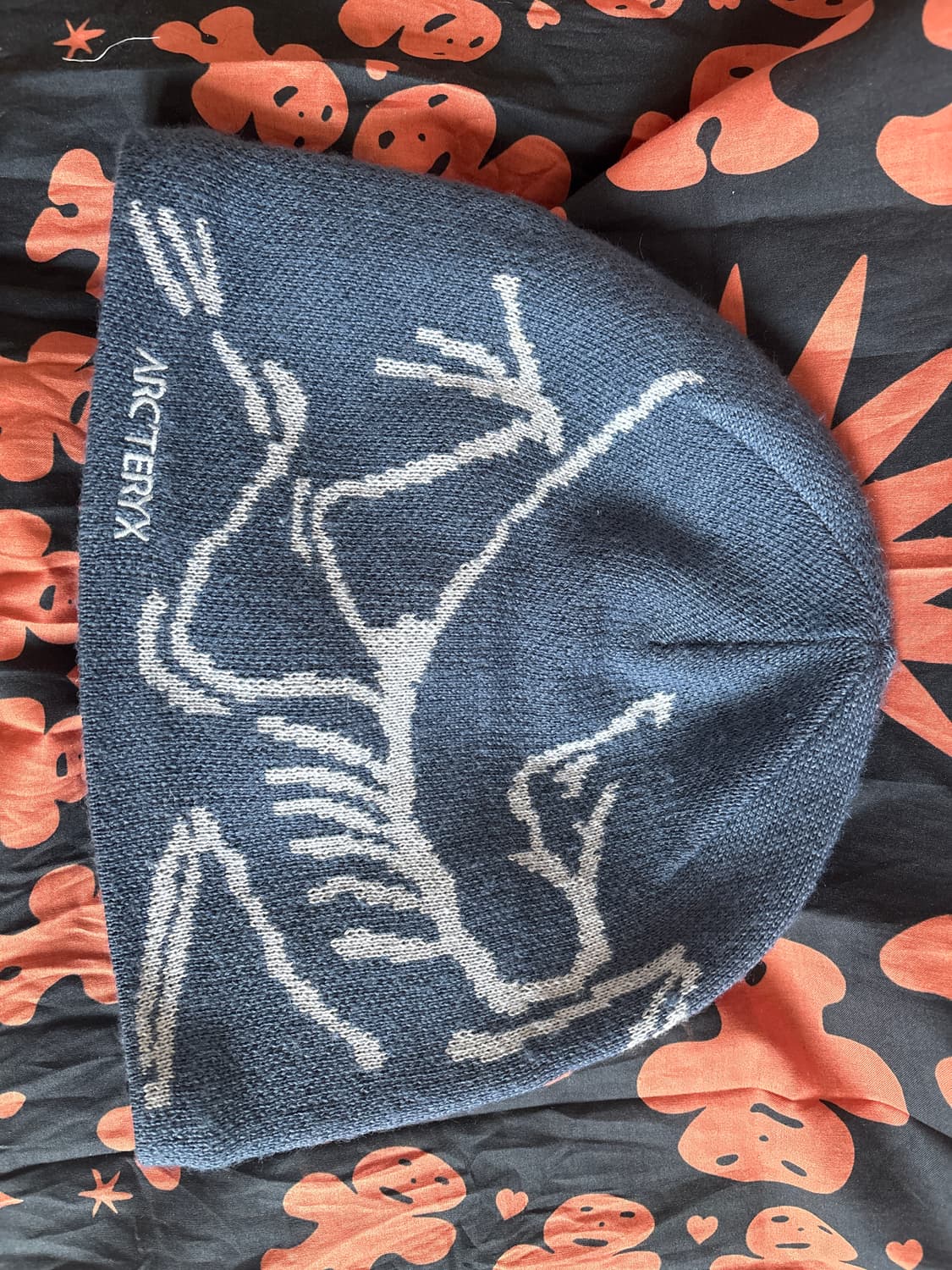 아크테릭스 버드 헤드 토크 비니 상품이미지1