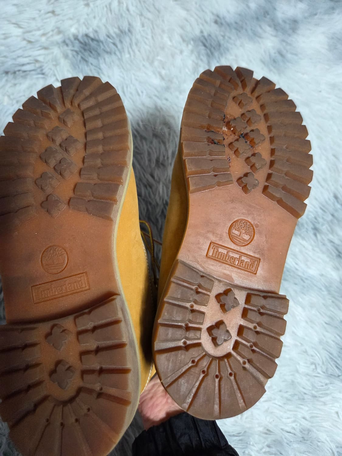 팀버랜드  6인치 프리미엄 방수  245 상품이미지5