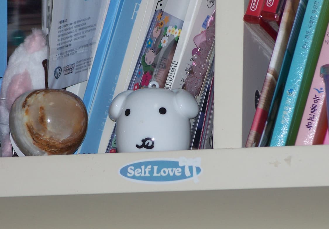 작례O 뉴진스디카 코닥 이지쉐어 C875 판매합니다  상품이미지7