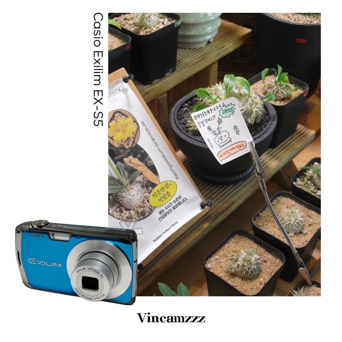 Casio 카시오 엑슬림 exilim EX-S5 디지털 카메라 상품이미지1