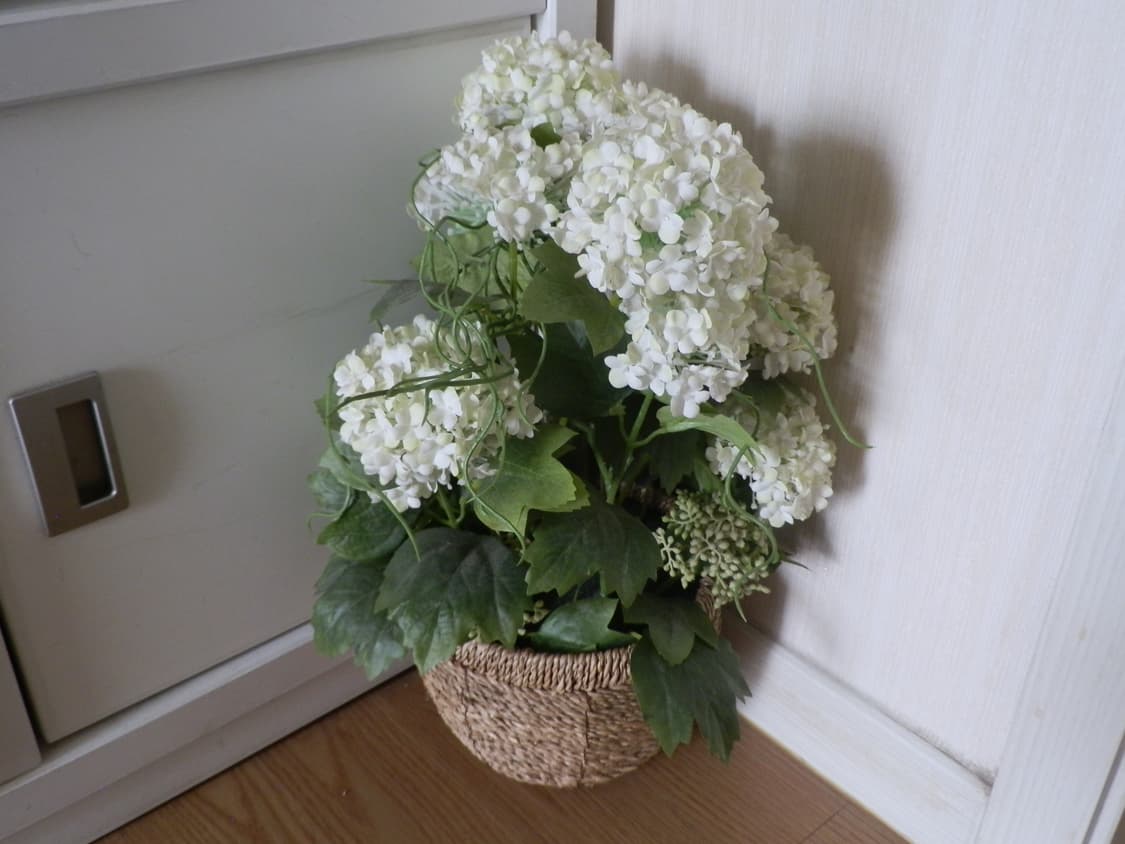 올림푸스sp-610uz 쿨톤디카 상품이미지3