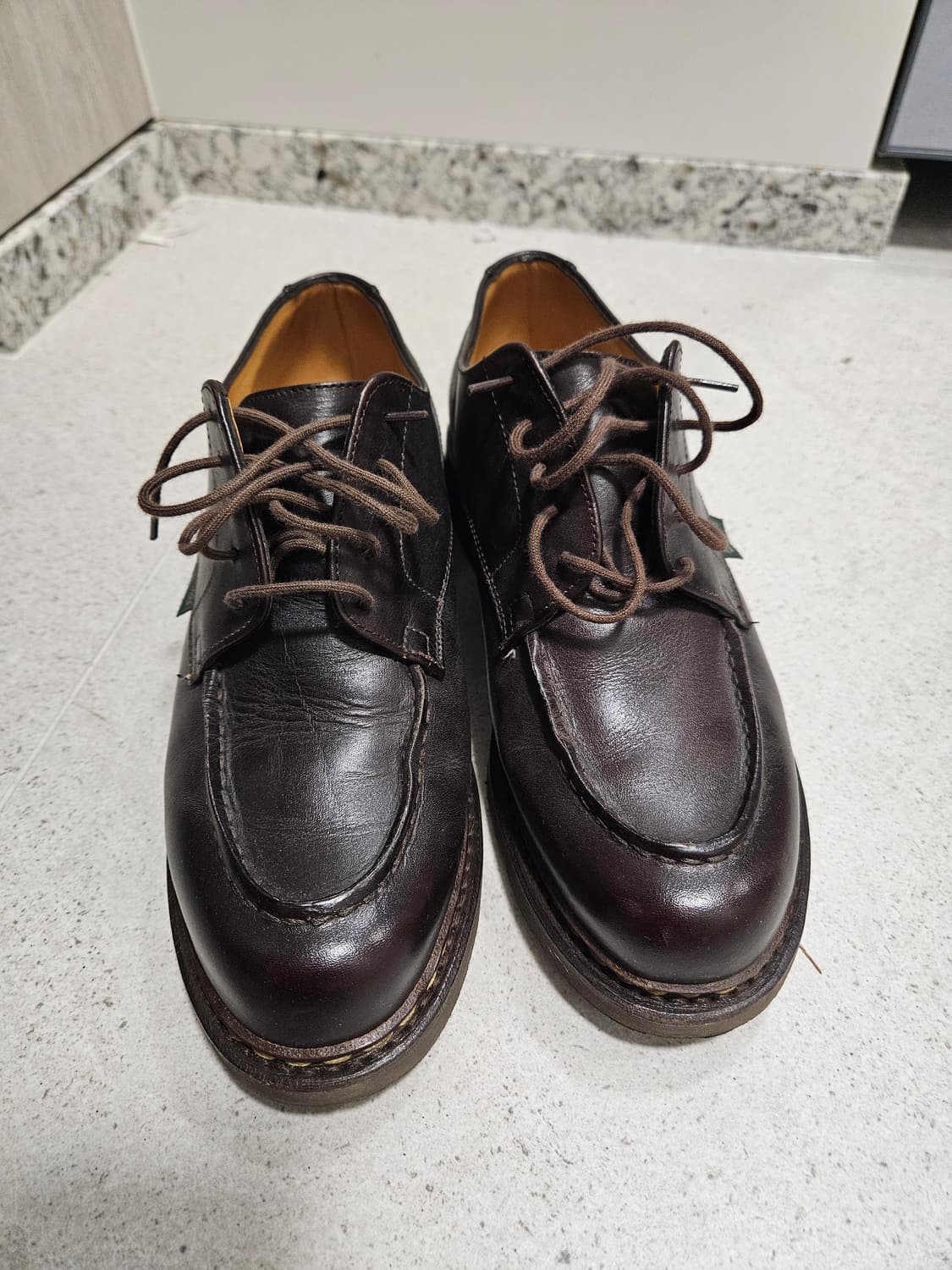 파라부트 샴보드 판매합니다 상품이미지1