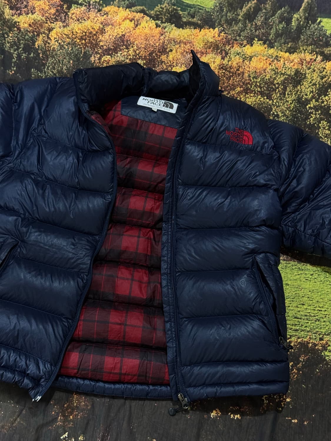 노스페이스 패딩 800LTD 95-100 상품이미지1