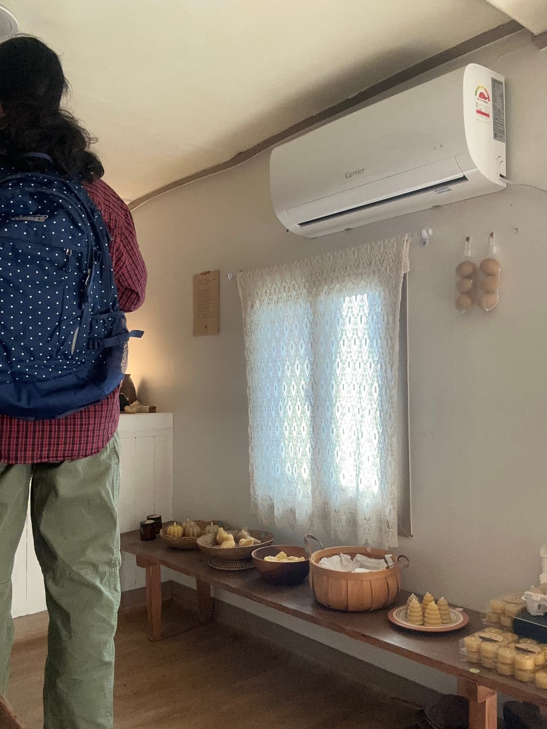 콜맨 땡땡이 배낭 상품이미지8