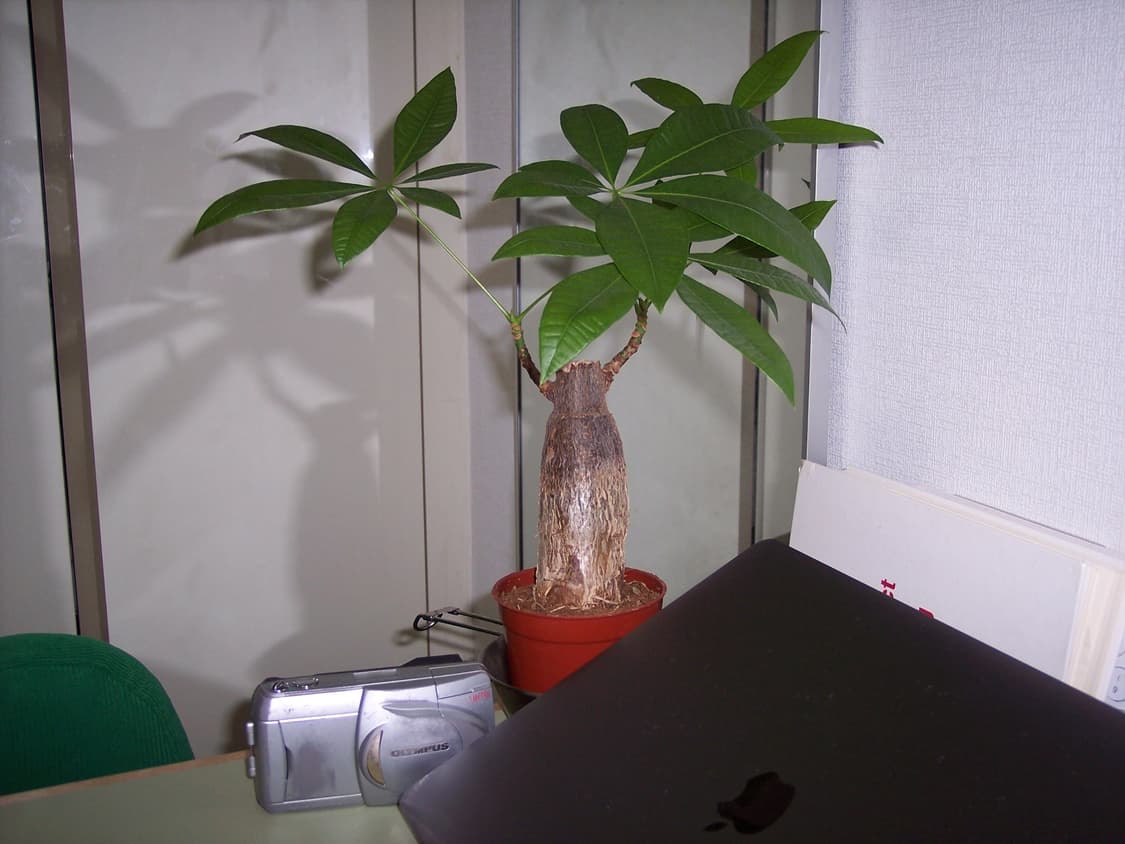 코닥 이지쉐어 Z760 빈티지 디지털카메라 상품이미지8