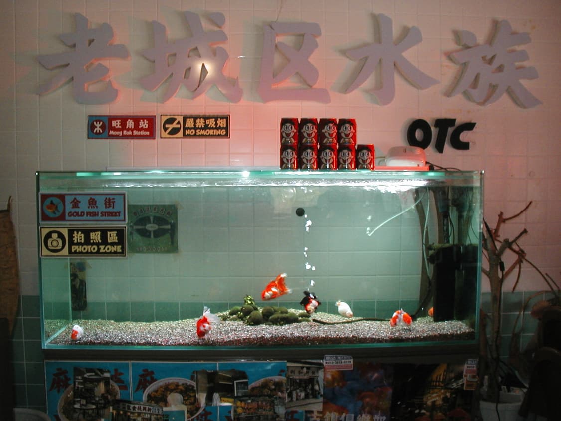 올림푸스 카메디아 c-200 풀박스 상품이미지5