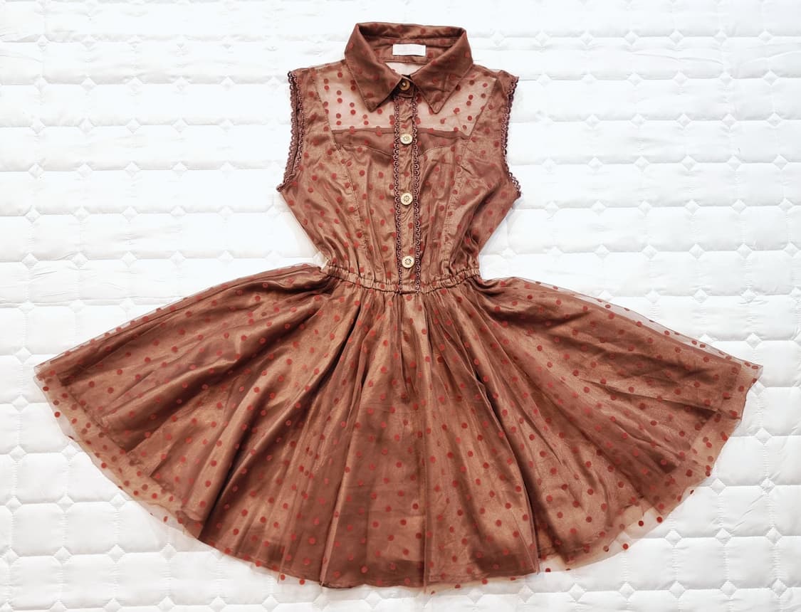 LIZ LISA(리즈리사)초콜릿 도트 시스루 원피스 상품이미지1