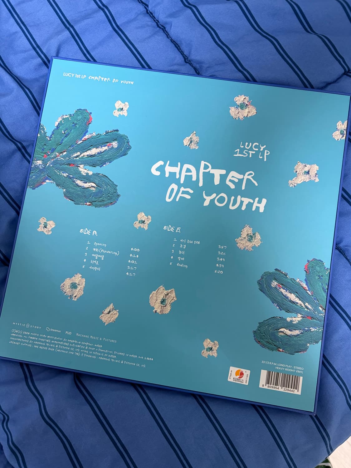 루시(LUCY)의 1st LP Chapter of Youth 앨범 LP판 상품이미지2