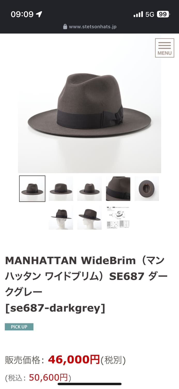 stetson MANHATTAN WideBrim 상품이미지5