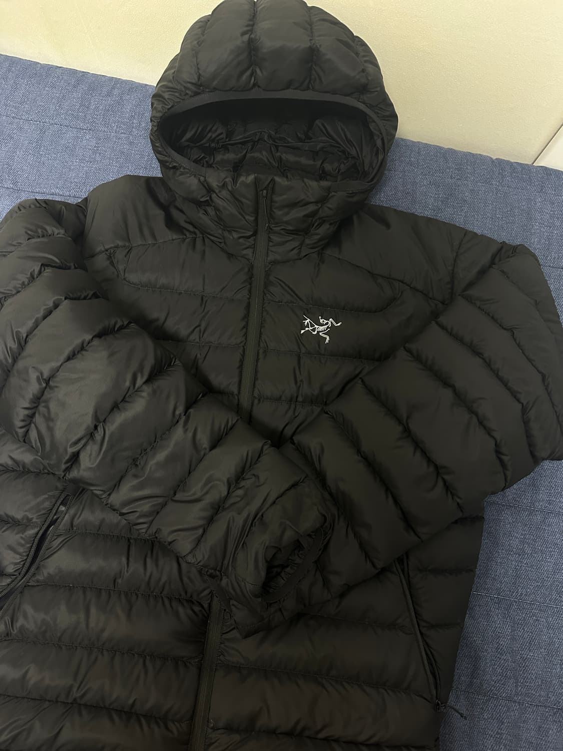 아크테릭스 세륨 후디 블랙 L 상품이미지1