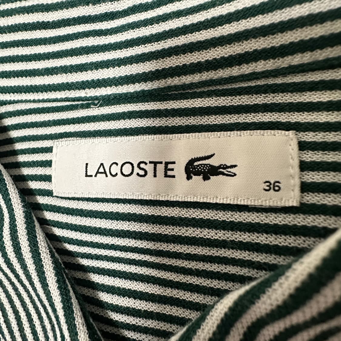LACOSTE japan shirt green 상품이미지4