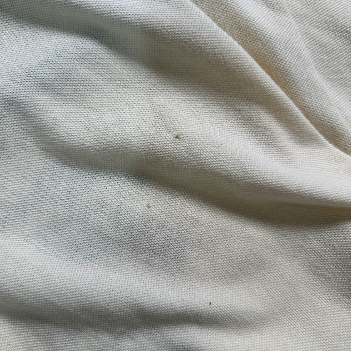 폴로 랄프로렌 성조기 빅포니 카라티 상품이미지5