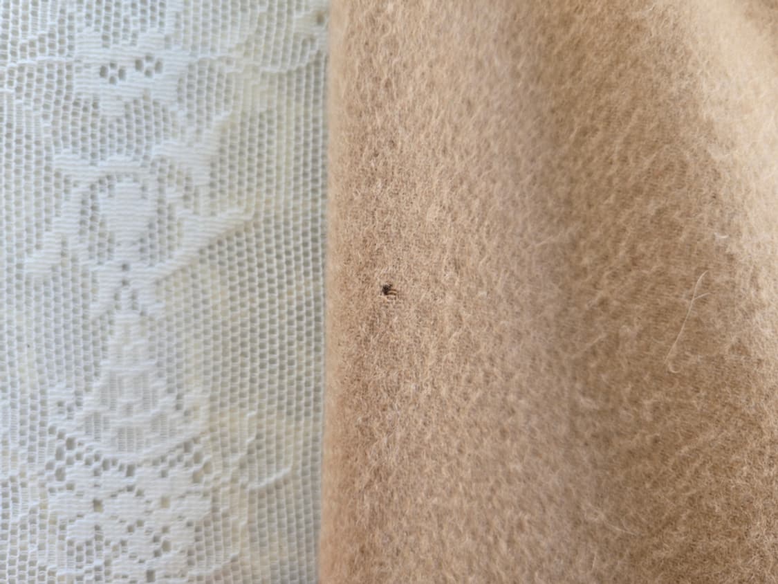 캐시미어 100% 머플러 상품이미지3