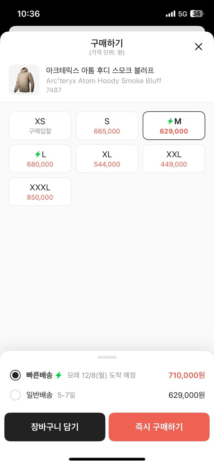 아크테릭스 아톰 후드 스모크블러프 M 상품이미지4