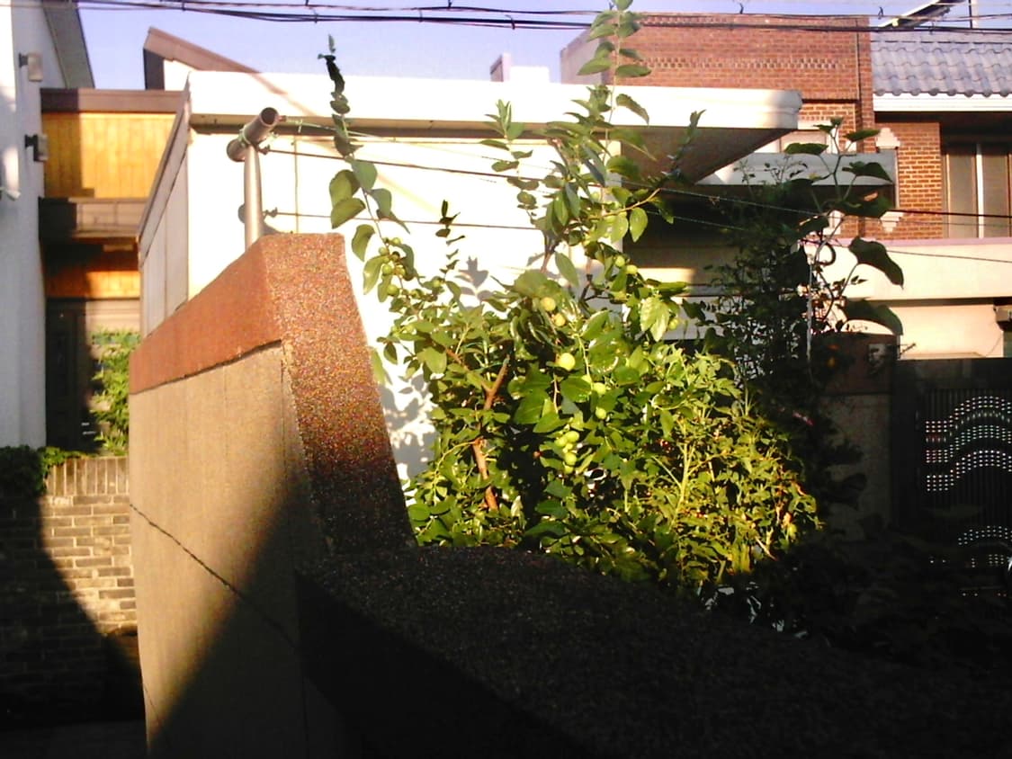 DXG 305V 디지털 카메라 + 케이스 상품이미지9