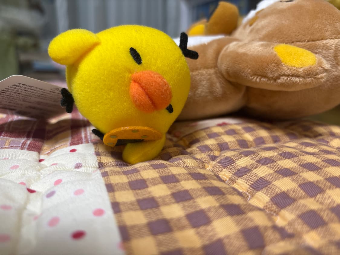 희귀! ) 센베 과자 먹는 리락쿠마 + 키이로이토리 상품이미지2