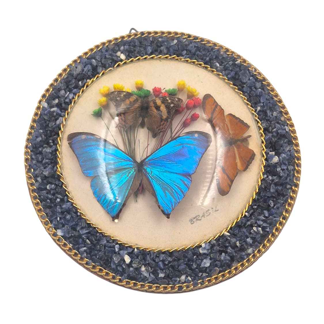 90s 브라질 모르포 나비 표본 원석 벽걸이 상품이미지2