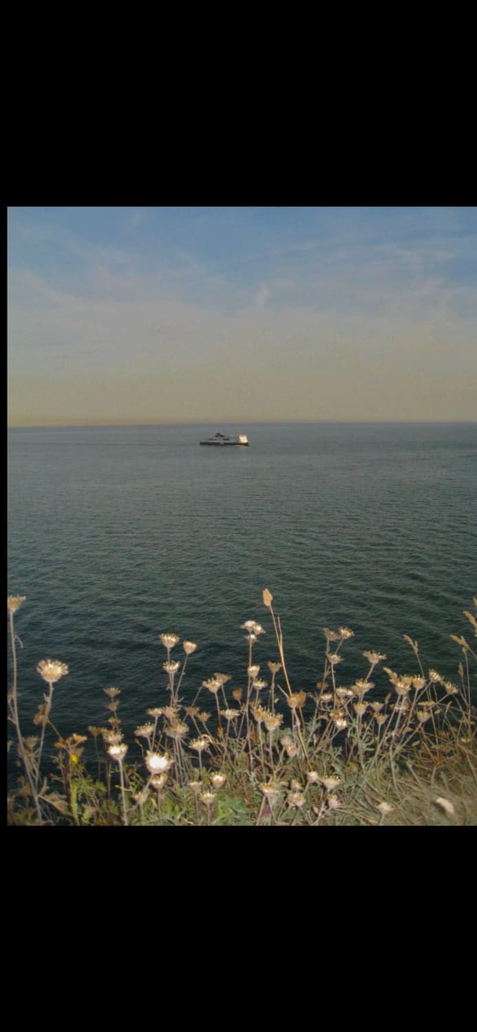 캐논 익서스 950 CANON IXUS 950 빈티지 디지털카메라 디카 상품이미지5