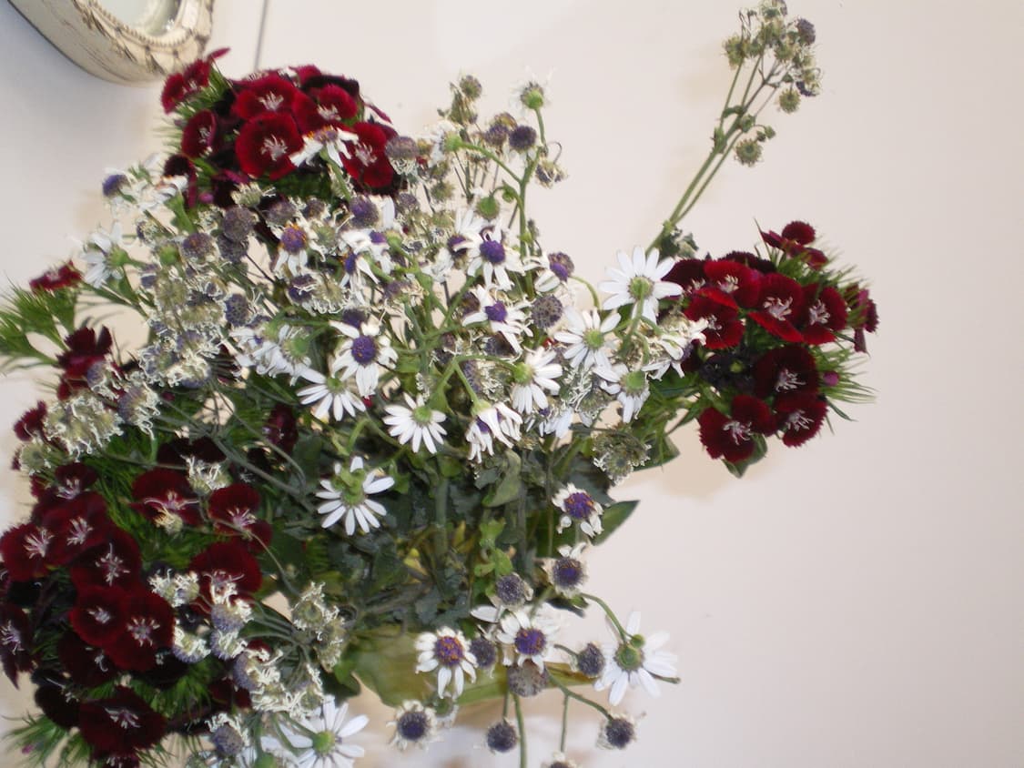 Pentax optio m30 빈티지 디카 (mint) 상품이미지6