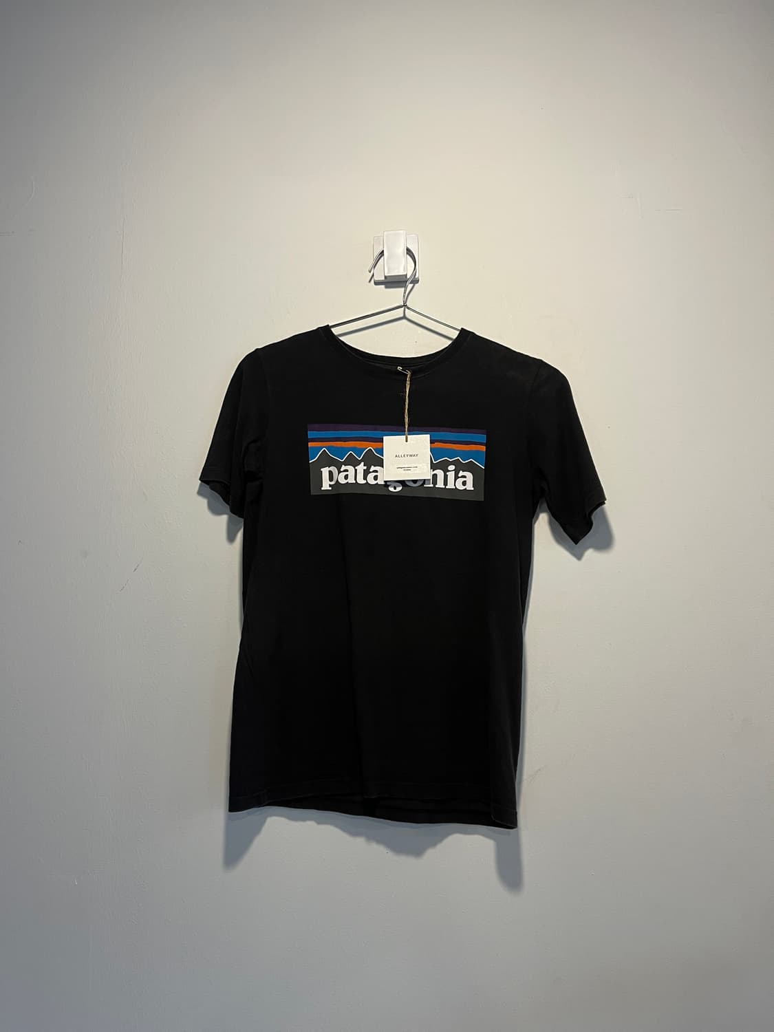 Patagonia mexico t-shirt 상품이미지1