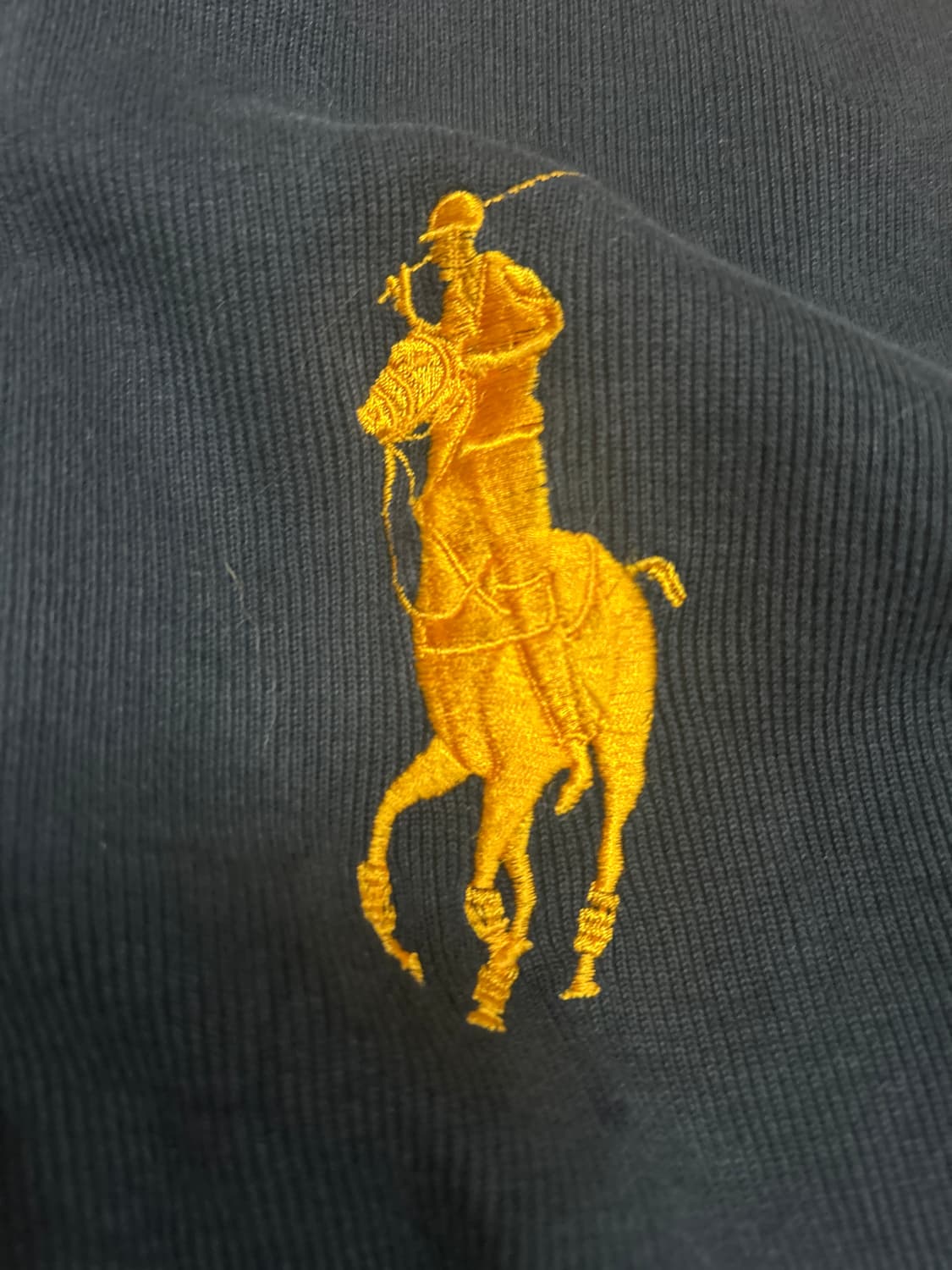 [유일매물]폴로 빅포니 집업 팝니다 상품이미지2