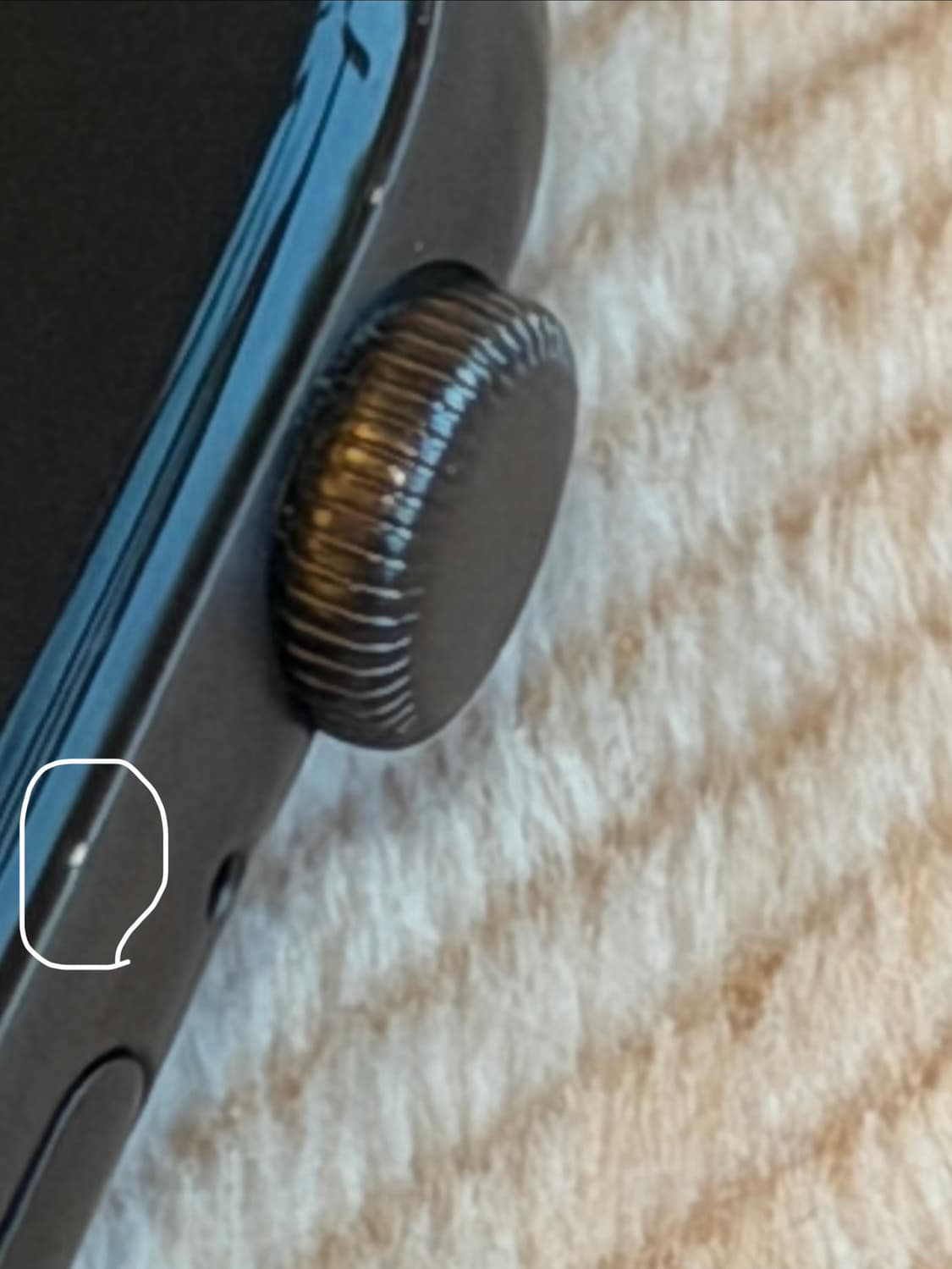 애플워치 SE 44mm 상품이미지6