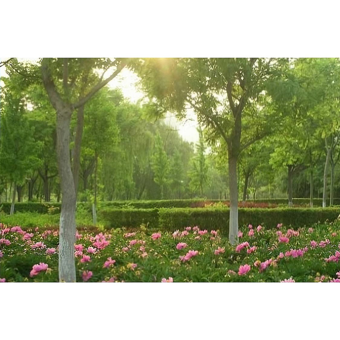 ♡초보입문▪︎한국어♡ 니콘 쿨픽스 S1 / 빈티지디카 상품이미지1