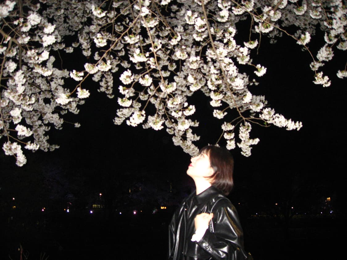 캐논 ixus800is 풀박스 (작례O) 상품이미지10