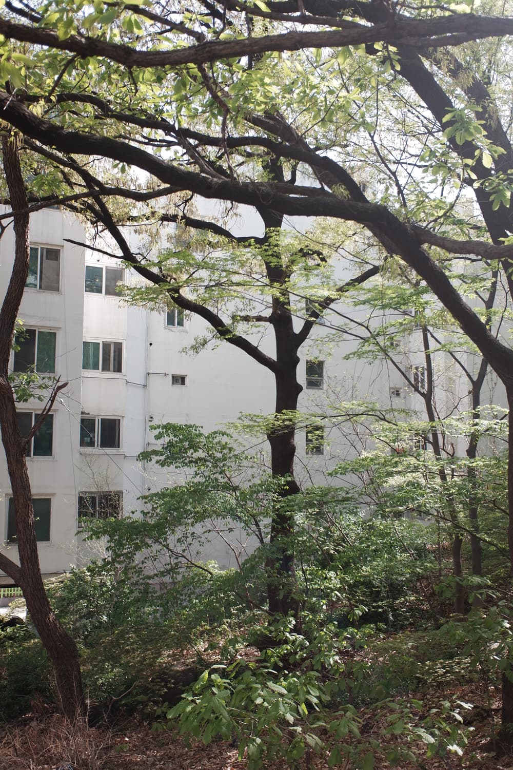FUJIFILM xf-10 상품이미지4
