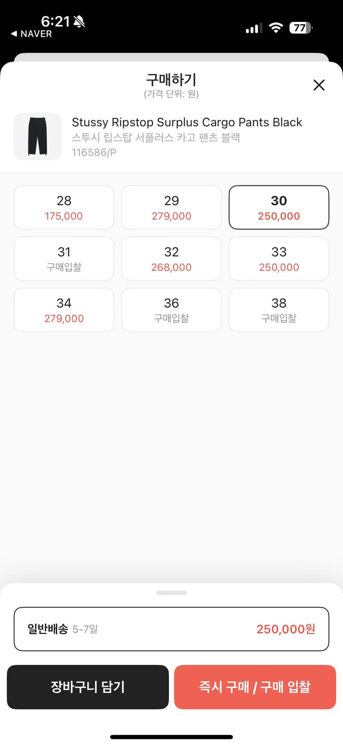 스투시 립스탑 서플러스 카고 팬츠 상품이미지1