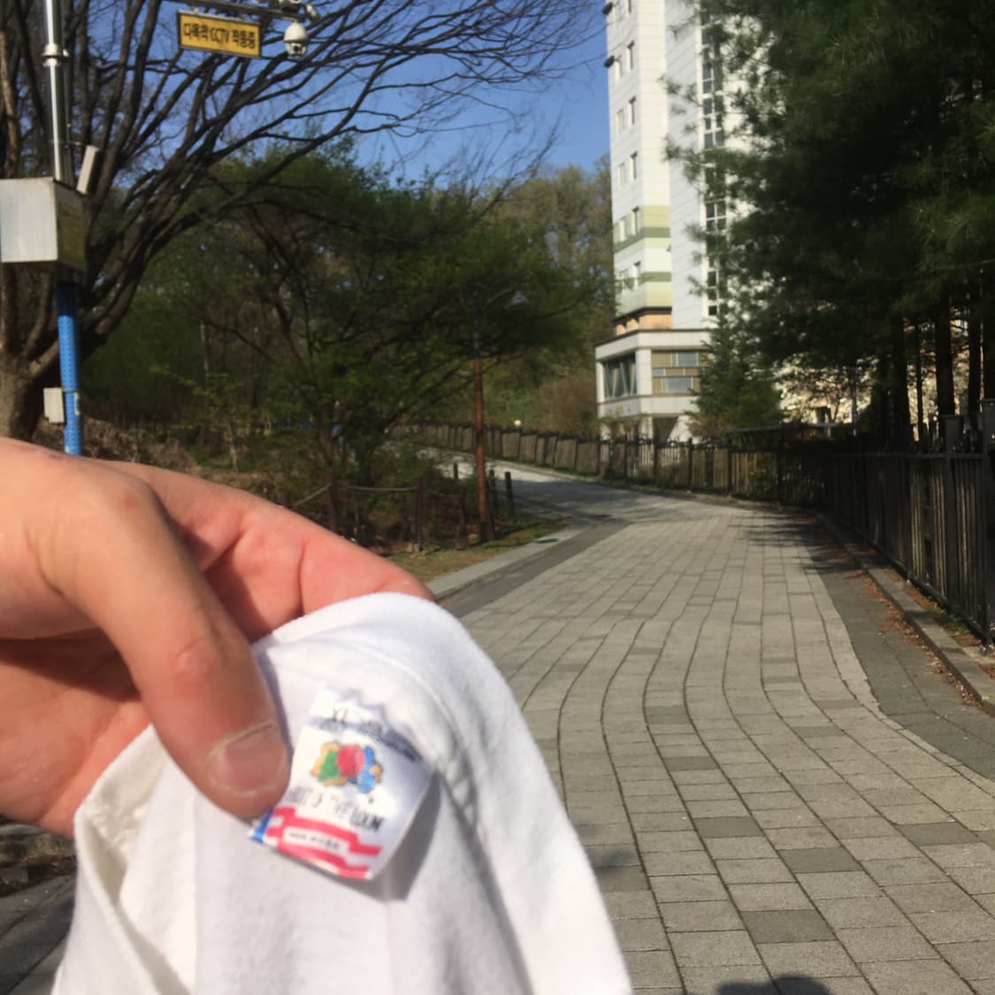 1996s 프룻오브더룸 티셔츠 상품이미지9