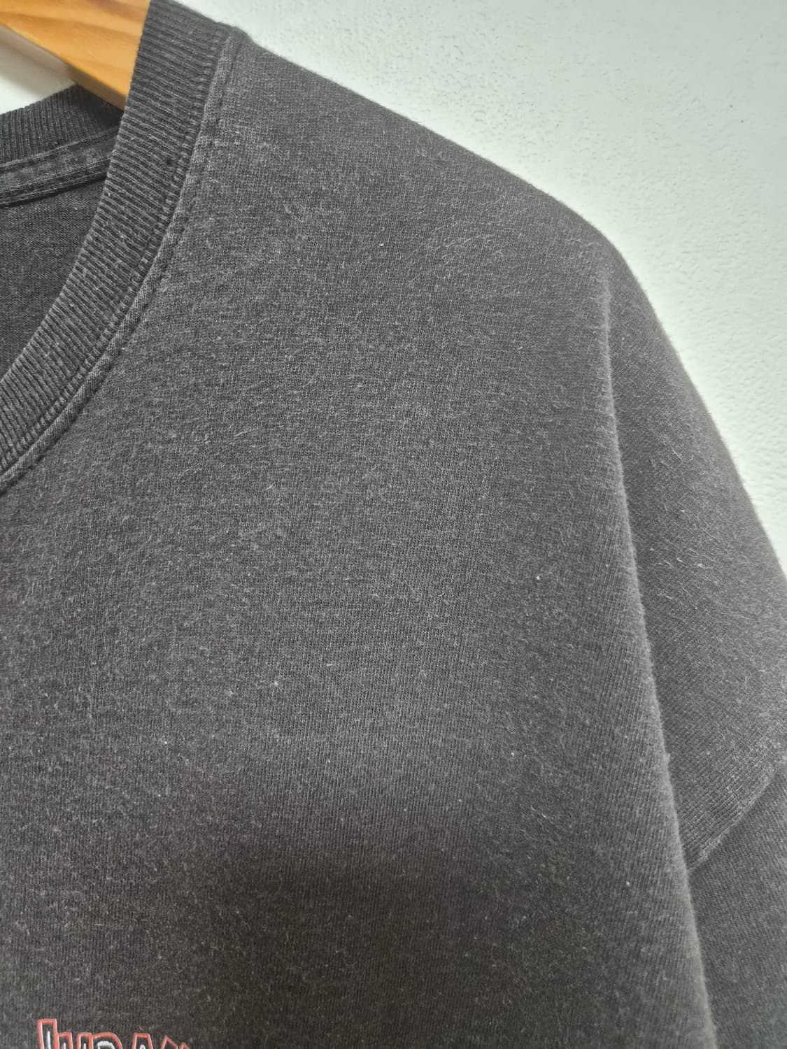 헤인즈Hanes 오리지널 쥬라기공원 티셔츠 XL - T126 상품이미지3