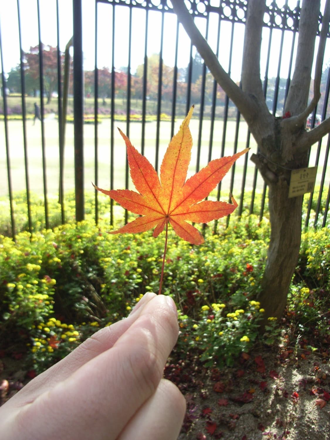 리코 ricoh caplio r4 상품이미지5