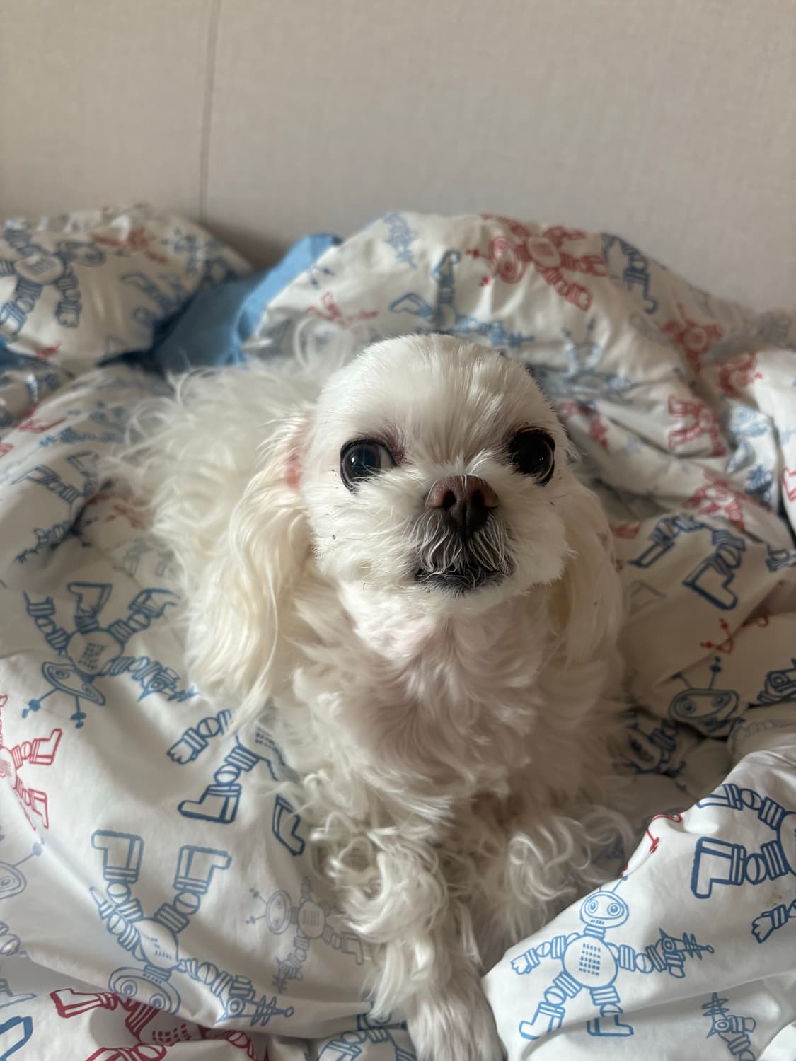 이민수 상품이미지1